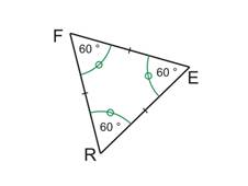 tri-equi.jpg