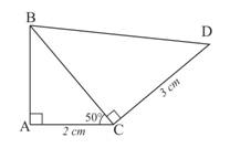 trigo01.jpg